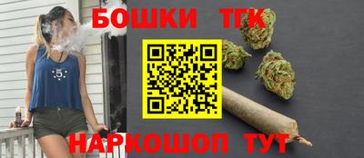 индика Ижевск