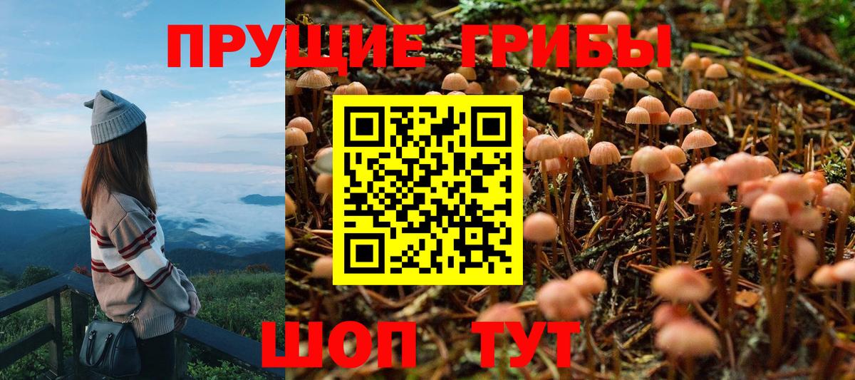 Псилоцибиновые грибы прущие грибы Россошь
