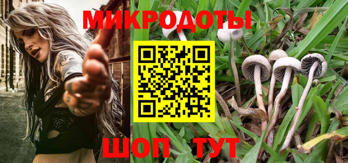 Россошь  Галлюциногенные грибы Psilocybine cubensis  Галлюциногенные грибы ЛСД  Вход с VPN 